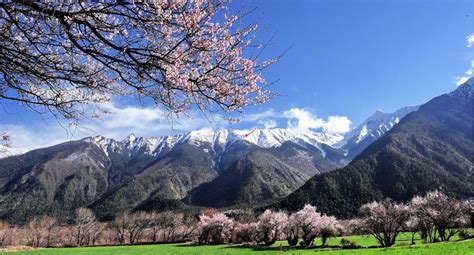 西藏林芝地图图片