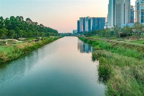 Aecom最新案例，深圳大沙河滨水景观改造！附：全套文本_河道