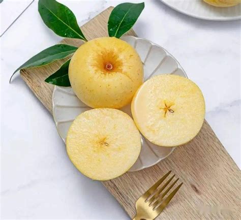 维纳斯黄金苹果：晚熟品种 口感脆爽 色泽金黄 含糖量高 入口清甜_果实_鲁丽_修剪