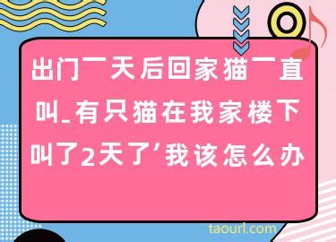 沙井壆岗社区部署交通安全工作