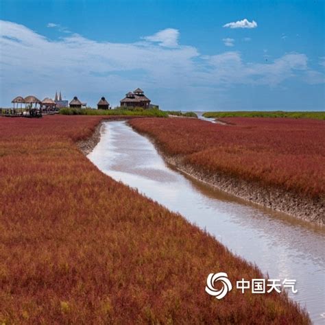 盘锦红海滩位于辽宁省盘锦市大洼区赵圈河镇境内