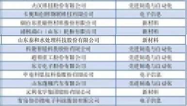 山东省科技领军企业名单 - 山东泰和科技股份有限公司