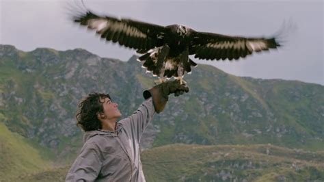 《追鹰日记》-高清电影-完整版在线观看
