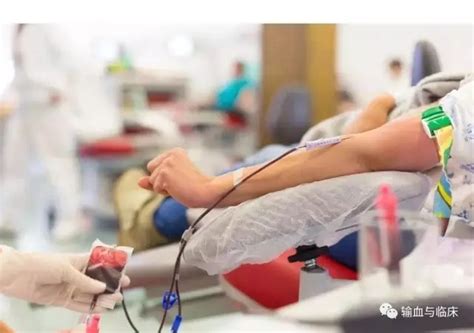 绵阳：高考结束 父母带着儿子齐献血-中国输血协会