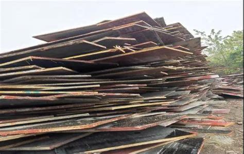 建筑模板工程木模板 松木桉木红模板整芯酚醛面胶不起层 发货快-阿里巴巴