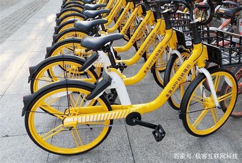 美团单车大数据显示上海焕活骑行量增长397% 上海成为骑行“早鸟”城市_城生活_新民网