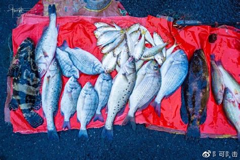 早市上的青岛海鲜，这些鱼真很便宜，每斤能省几元钱