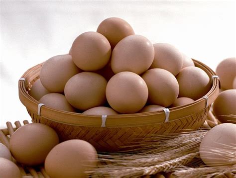 蛋类 > 禽蛋类 > 头生土鸡蛋 - 景致田园有机绿色蔬菜