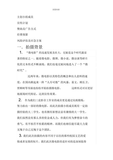 【精品策划】中国商业电影的主要融资模式-Word模板下载_编号qbpmzbno_熊猫办公