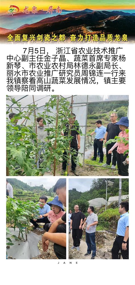 7月5日，浙江省农业技术推广人员赴屏南镇考察高山蔬菜发展情况
