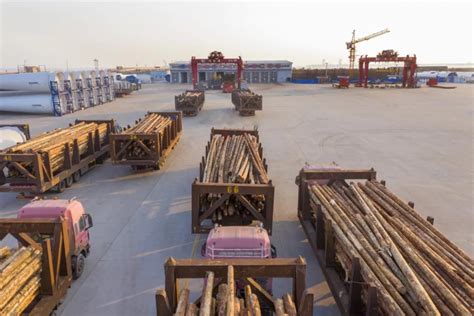 2024-2030年中国木材行业市场运营态势及投资战略规划报告_智研咨询