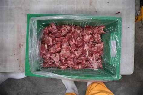 肥猪舌根肉批发河南郑州市肥猪舌根肉价格_肉交所