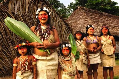 《亚马逊食人族2》-高清电影-完整版在线观看