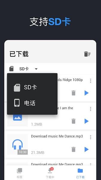 全能视频下载器安卓版-全能视频下载器app (All Video Downloader)下载v1.2.5 手机版-单机100网