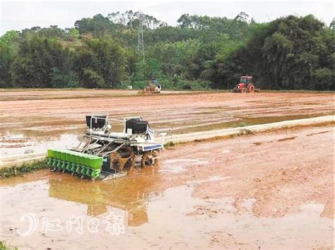 鹤山举行2021年春季农业生产现场会 推广普及新型农业机械耕种_直播江门