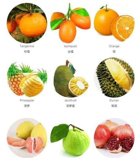 41种不常见的罕见水果图片和名字