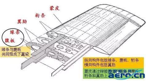 机翼结构图图片