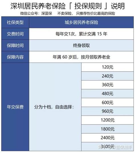2022年上海个人社保缴费有哪些方式？怎么交划算？早了解早好 - 知乎