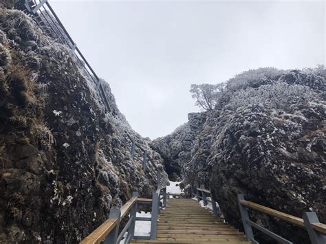 轿子雪山旅游景区-昆明市禄劝县轿子雪山旅游景区旅游指南[组图]