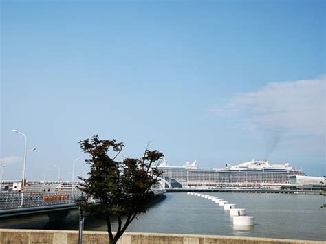 吴淞口国际邮轮港第一千万游客抵沪 - 周到上海