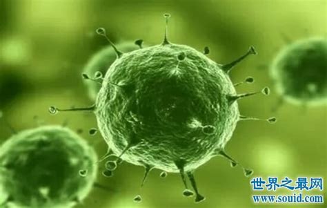 世界上第一恐怖的病毒 全球十大病毒排名(2)_巴拉排行榜
