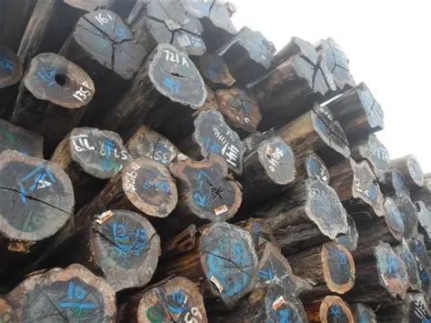 樟木生态板特点,优缺点分析 - 深圳方长木业