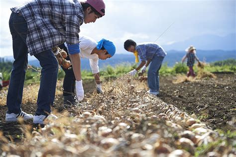 长春：3岁小孙女帮助环卫工奶奶干活 路人感动落泪--图片频道--人民网