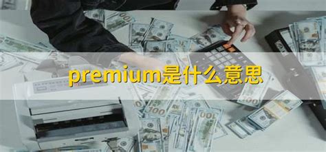 premium是什么意思 - 财梯网