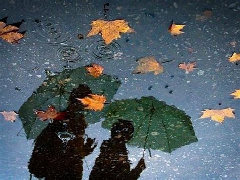 诗词：一声梧叶一声秋，一场秋雨一场凉！