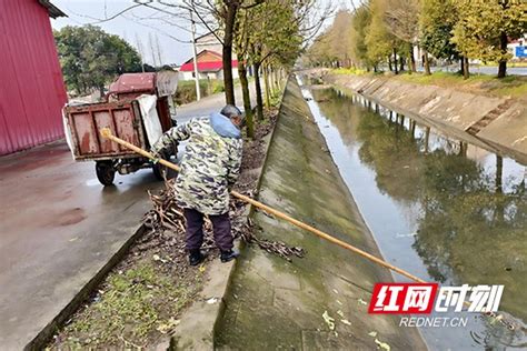 南县实验学校：阅读，让奇迹发生 - 华声教育