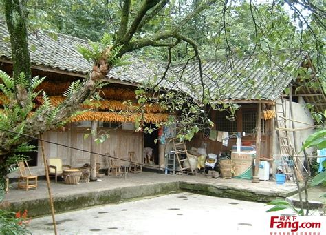 农家小院图片