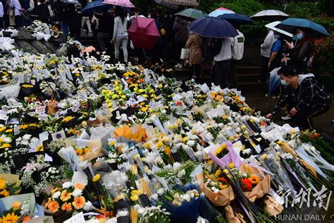 一束鲜花、一次礼敬，群众自发有序悼念袁隆平院士 - 教科卫要闻 - 新湖南