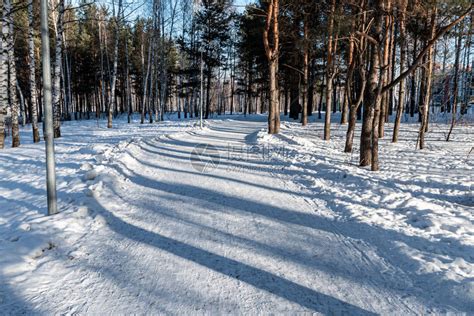 冬天小路上树的影子高清图片下载-正版图片507052973-摄图网