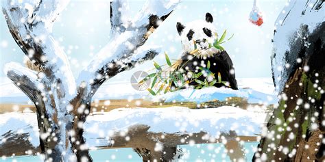 可爱国宝！大熊猫高清晰壁纸_动物_太平洋科技