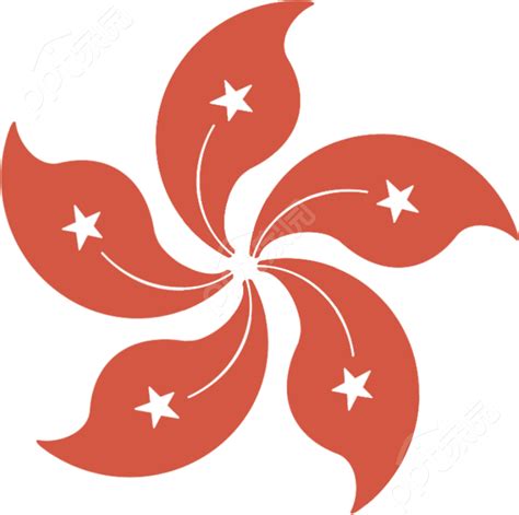 香港紫荆花的象征意义是什么「详细介绍：香港区花紫荆花含义」 - 遇奇吧