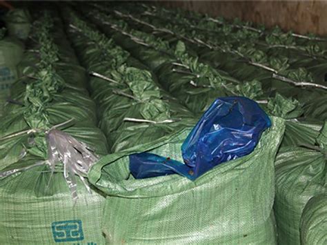 青贮袋青贮饲料袋秸秆青储袋加厚牛羊牧草大号青贮发酵袋塑料袋-阿里巴巴