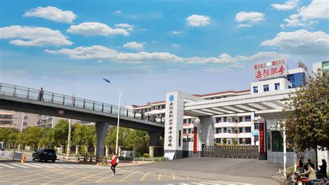 南阳市三所完全学校揭牌 城区教育事业发展驶入快车道-国际在线