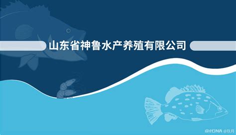 农业部首批河鲀鱼源养殖基地——广东金洋水产养殖有限公司_种苗