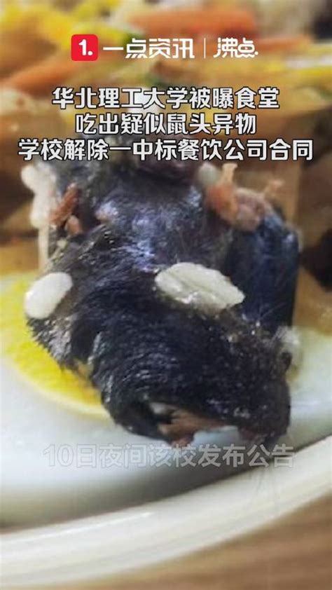 湖南怀化一学校食堂吃出“老鼠头”？教育局人员称“不可能”，市监部门：尚待调查_兔肉_相关_小学