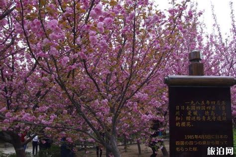 西安周边一日游自驾,10个西安周边最值得去的经典自驾游景 - 自驾游 - 旅游攻略