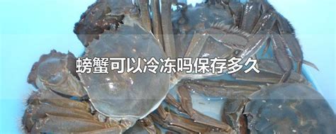 螃蟹可以冷冻吗保存多久(螃蟹能放冰箱冷冻多久)-参考网
