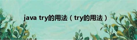 java try的用法（try的用法）_新时代发展网