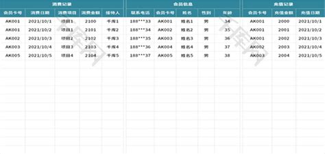 会员消费记录表Excel模板_千库网(excelID：157916)