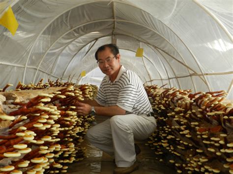 长久菌业：加强菌种研育 助力菇业转型升级-随县人民政府门户网站