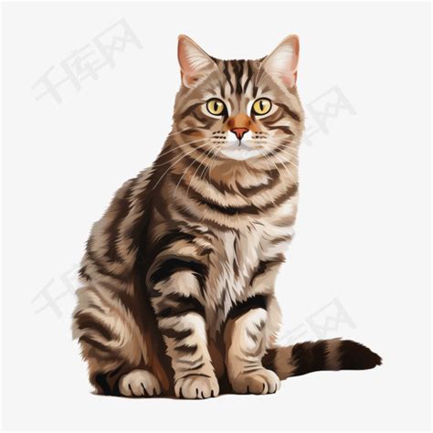 大花猫图片