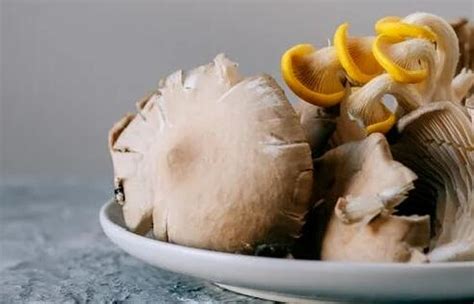 菌菇营养丰富保健价值高：高蛋白、低脂肪、增肌效果好