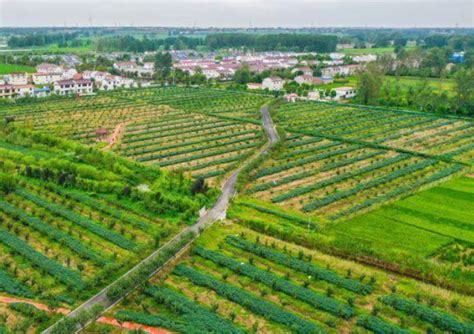 泗阳县鼎盛家庭农场获评国家级“生态农场”_我苏网