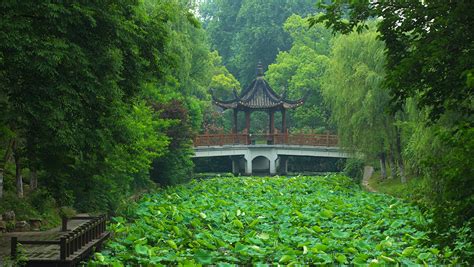 镇江江河汇景观设计 - 苏州金螳螂园林绿化景观有限公司