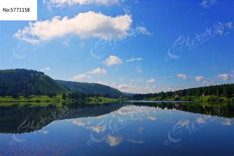 湖面上的树倒映着平静的水面高清摄影大图-千库网
