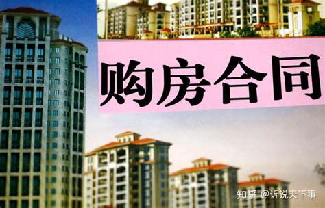 上海律师事务所排名一览表（上海口碑最好的律所汇总收藏） - 兜在学